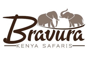 Bravura Kenya Safaris